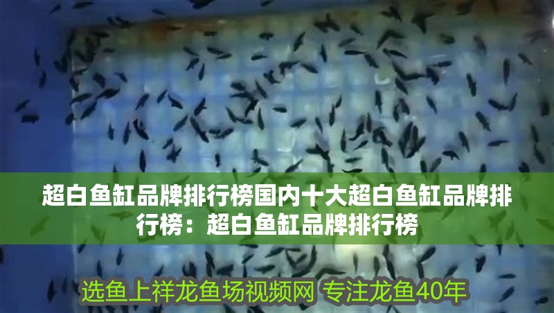 超白魚缸品牌排行榜國內十大超白魚缸品牌排行榜：超白魚缸品牌排行榜