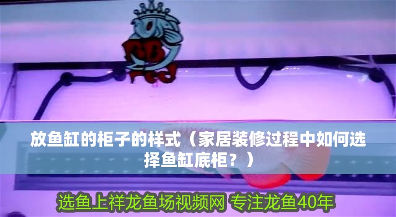 放魚缸的柜子的樣式（家居裝修過程中如何選擇魚缸底柜？）