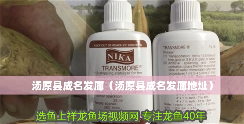 湯原縣成名發廊（湯原縣成名發廊地址）