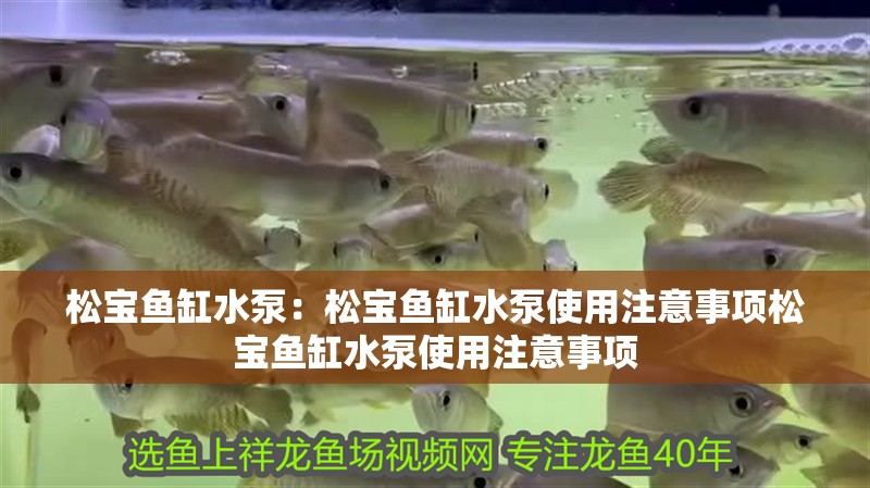 松寶魚缸水泵：松寶魚缸水泵使用注意事項松寶魚缸水泵使用注意事項