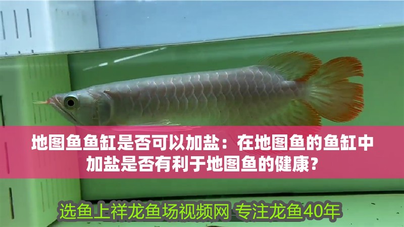 地圖魚魚缸是否可以加鹽：在地圖魚的魚缸中加鹽是否有利于地圖魚的健康？