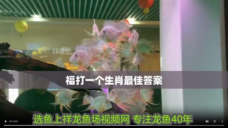 福打一個生肖最佳答案