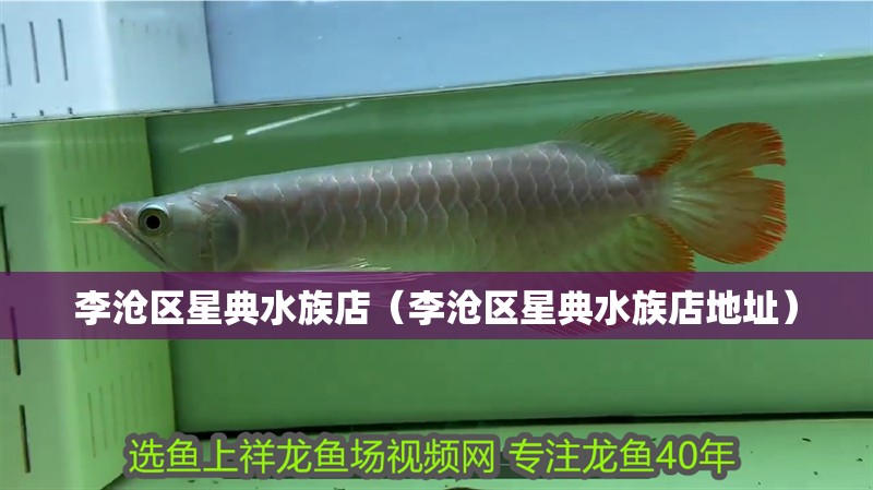 李滄區星典水族店（李滄區星典水族店地址）