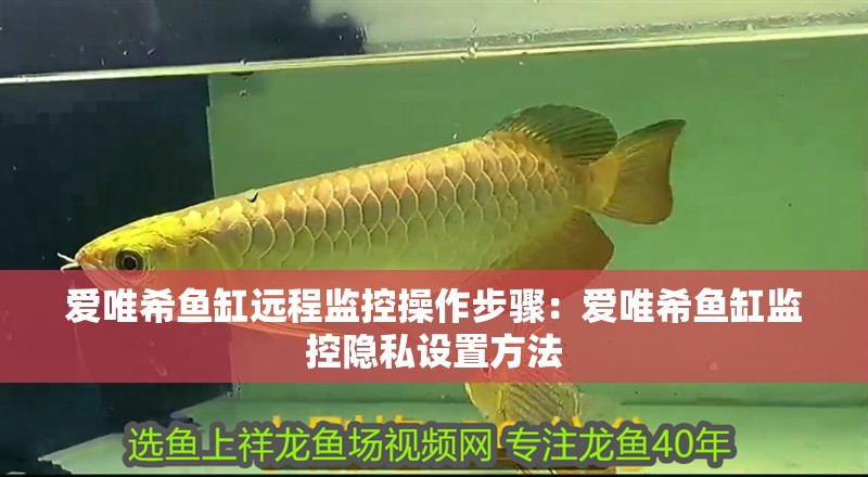 愛唯希魚缸遠(yuǎn)程監(jiān)控操作步驟：愛唯希魚缸監(jiān)控隱私設(shè)置方法