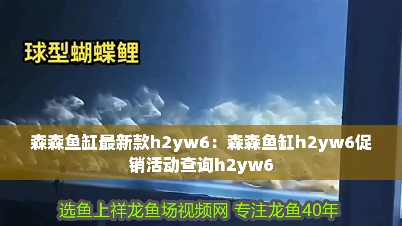 森森魚缸最新款h2yw6：森森魚缸h2yw6促銷活動查詢h2yw6