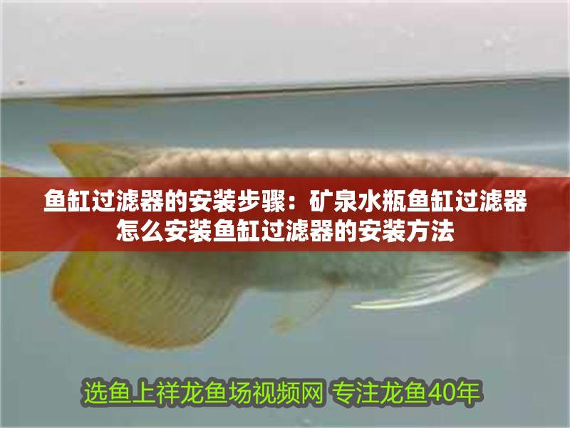 魚缸過濾器的安裝步驟：礦泉水瓶魚缸過濾器怎么安裝魚缸過濾器的安裝方法