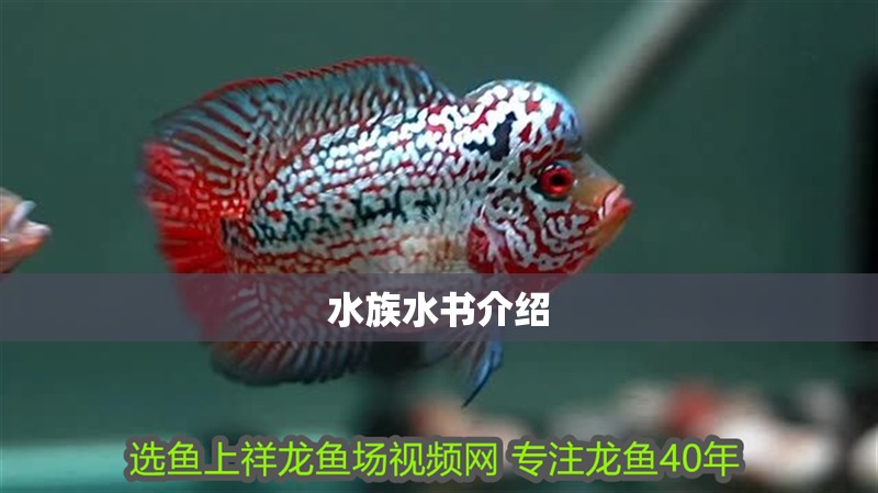 水族水書介紹