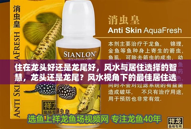 住在龍頭好還是龍尾好，風水與居住選擇的智慧，龍頭還是龍尾？風水視角下的最佳居住選擇智慧