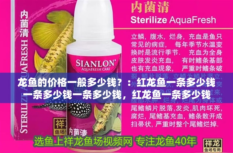 龍魚(yú)的價(jià)格一般多少錢？：紅龍魚(yú)一條多少錢一條多少錢一條多少錢，紅龍魚(yú)一條多少錢