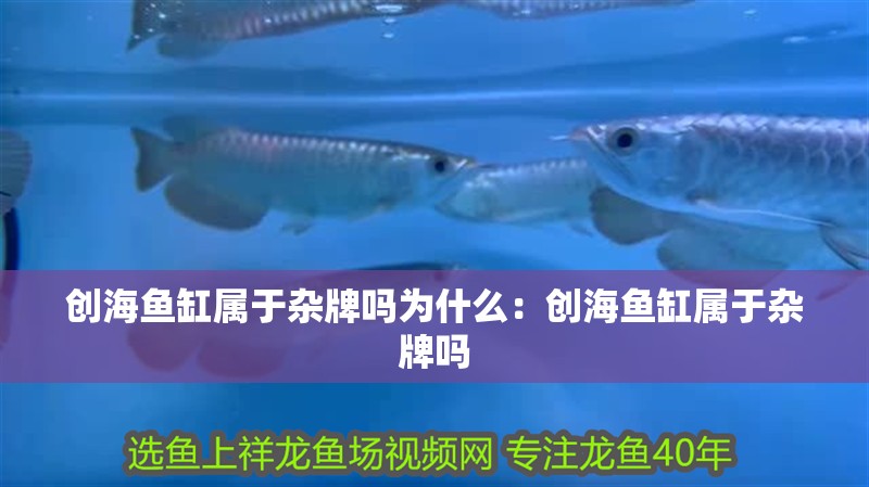 創海魚缸屬于雜牌嗎為什么：創海魚缸屬于雜牌嗎