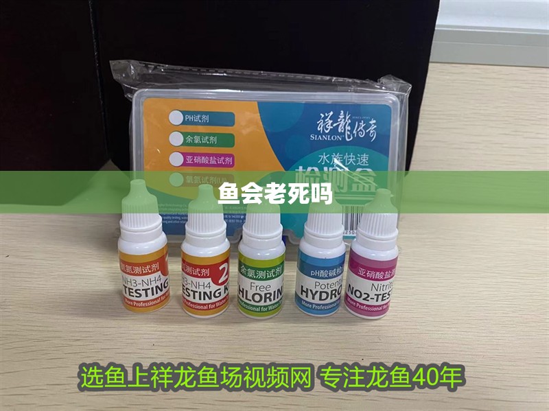 魚會老死嗎