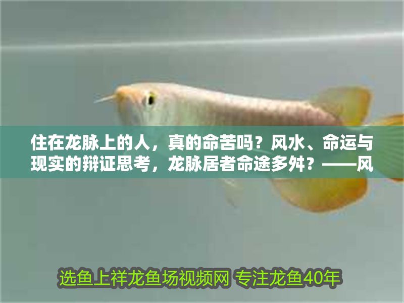 住在龍脈上的人，真的命苦嗎？風水、命運與現實的辯證思考，龍脈居者命途多舛？——風水信仰與現實人生的深層對話