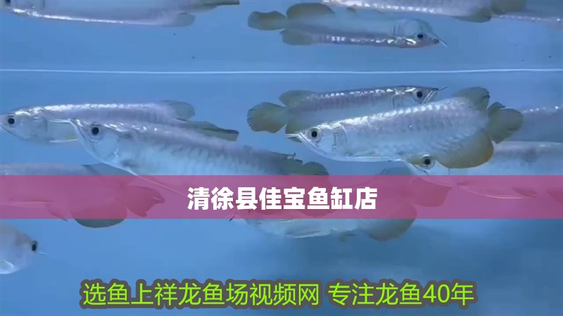 清徐縣佳寶魚缸店