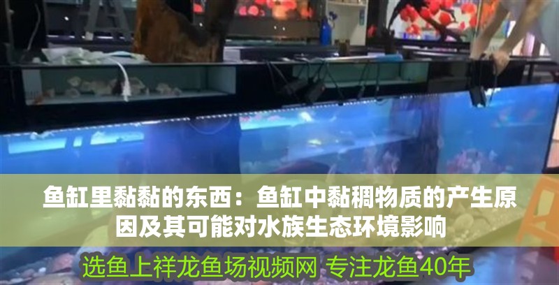 魚缸里黏黏的東西：魚缸中黏稠物質的產生原因及其可能對水族生態環境影響