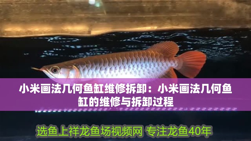 小米畫法幾何魚缸維修拆卸：小米畫法幾何魚缸的維修與拆卸過程