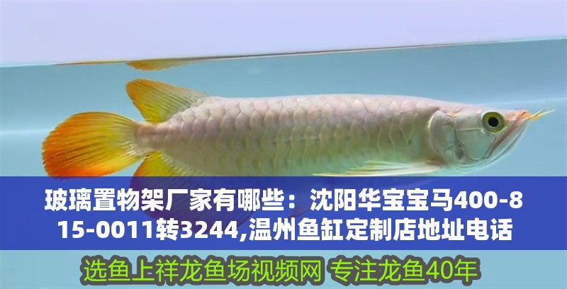 玻璃置物架廠家有哪些：沈陽華寶寶馬400-815-0011轉(zhuǎn)3244,溫州魚缸定制店地址電話
