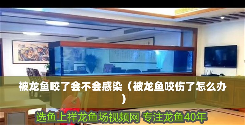 被龍魚(yú)咬了會(huì)不會(huì)感染（被龍魚(yú)咬傷了怎么辦）