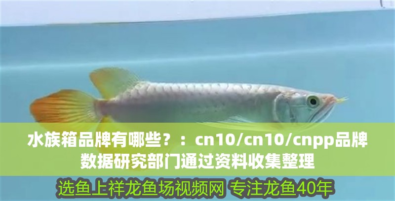 水族箱品牌有哪些？：cn10/cn10/cnpp品牌數據研究部門通過資料收集整理