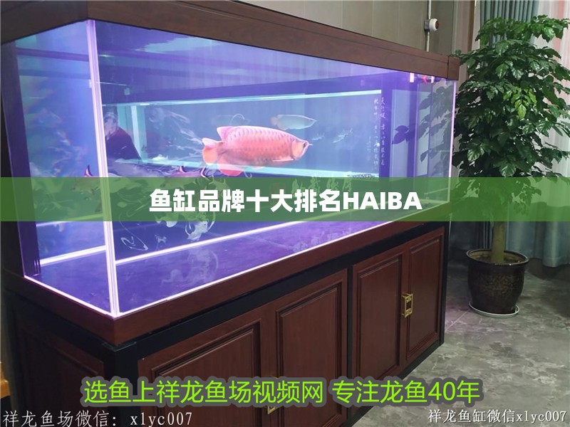 魚缸品牌十大排名HAIBA