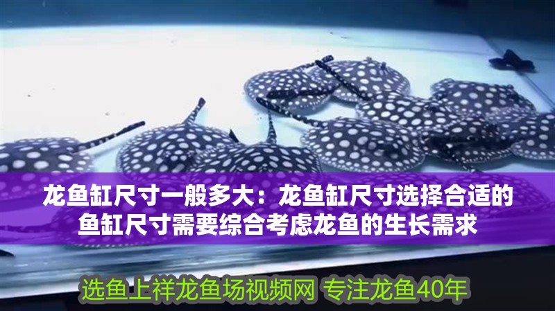 龍魚缸尺寸一般多大：龍魚缸尺寸選擇合適的魚缸尺寸需要綜合考慮龍魚的生長需求