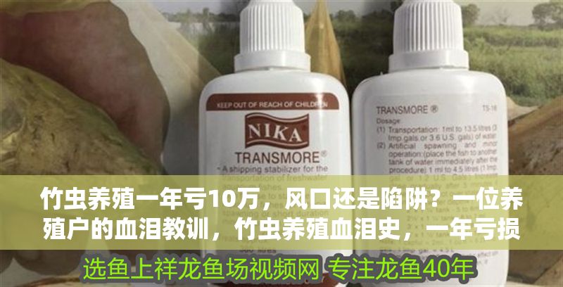 竹蟲養殖一年虧10萬，風口還是陷阱？一位養殖戶的血淚教訓，竹蟲養殖血淚史，一年虧損10萬，是風口還是陷阱？