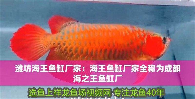 濰坊海王魚缸廠家：海王魚缸廠家全稱為成都海之王魚缸廠