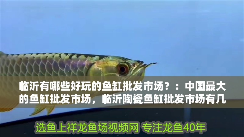 臨沂有哪些好玩的魚缸批發市場？：中國最大的魚缸批發市場，臨沂陶瓷魚缸批發市場有幾家