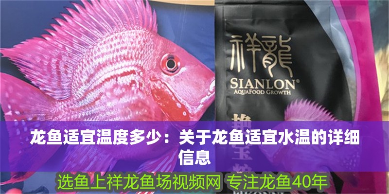 龍魚適宜溫度多少：關于龍魚適宜水溫的詳細信息