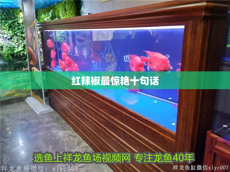 紅辣椒最驚艷十句話