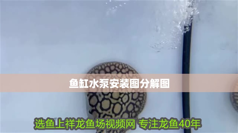 魚缸水泵安裝圖分解圖