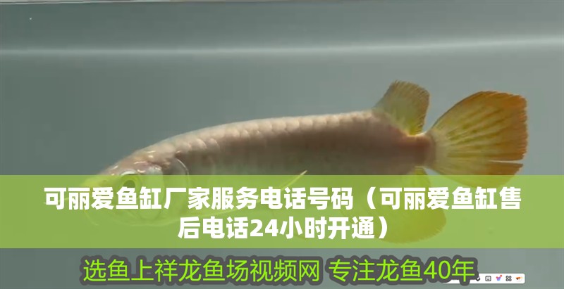 可麗愛魚缸廠家服務電話號碼（可麗愛魚缸售后電話24小時開通）