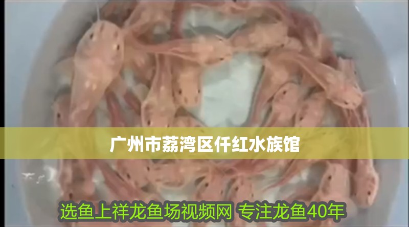 廣州市荔灣區仟紅水族館