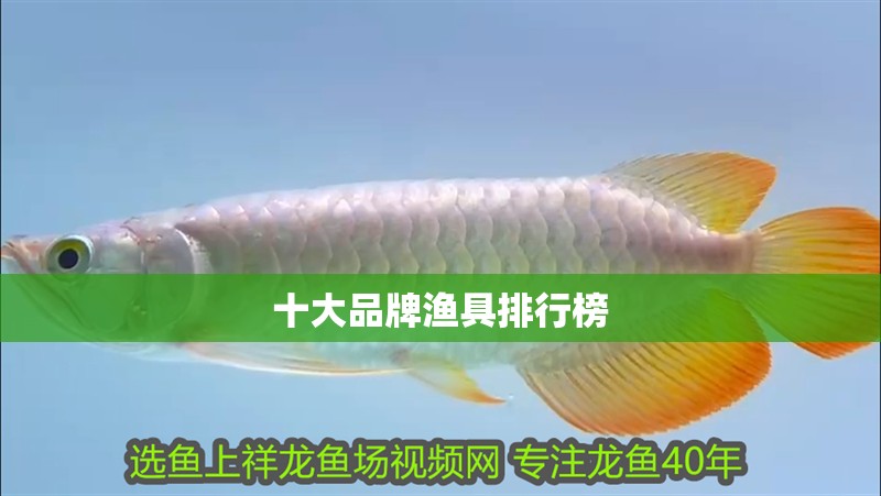 十大品牌漁具排行榜