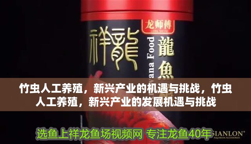 竹蟲人工養殖，新興產業的機遇與挑戰，竹蟲人工養殖，新興產業的發展機遇與挑戰