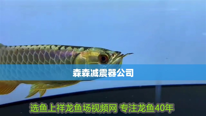 森森減震器公司