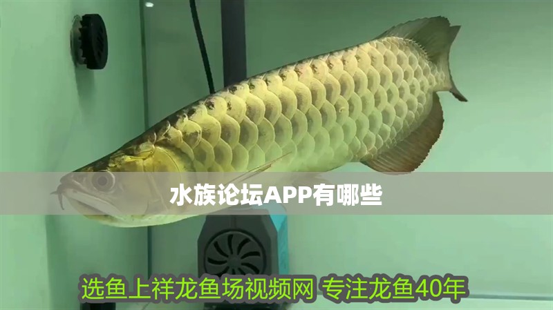 水族論壇APP有哪些