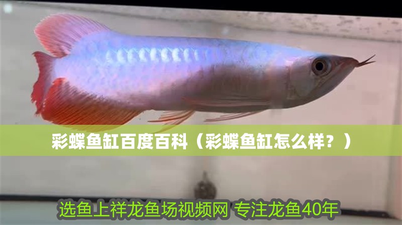 彩蝶魚缸百度百科（彩蝶魚缸怎么樣？）