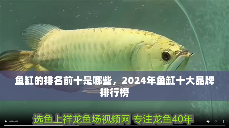 魚缸的排名前十是哪些，2024年魚缸十大品牌排行榜