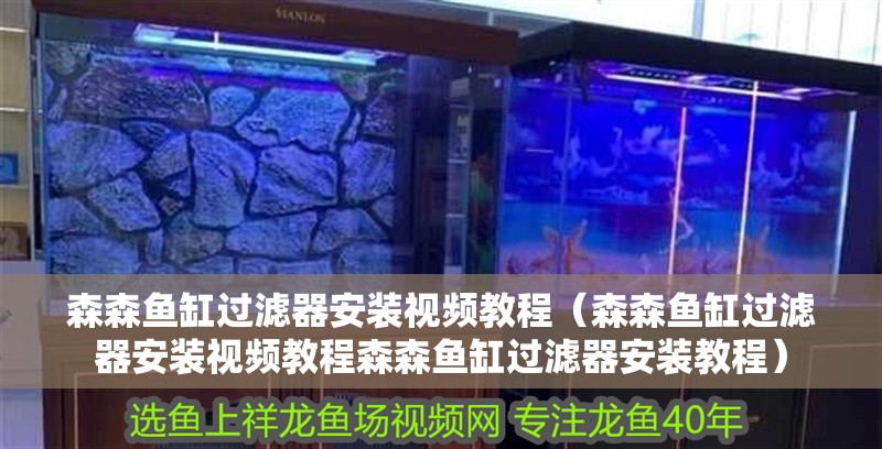 森森魚缸過濾器安裝視頻教程（森森魚缸過濾器安裝視頻教程森森魚缸過濾器安裝教程）