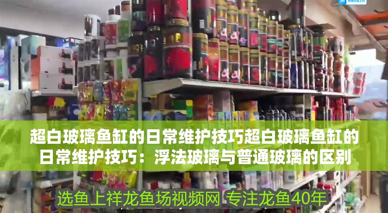 超白玻璃魚缸的日常維護技巧超白玻璃魚缸的日常維護技巧：浮法玻璃與普通玻璃的區(qū)別