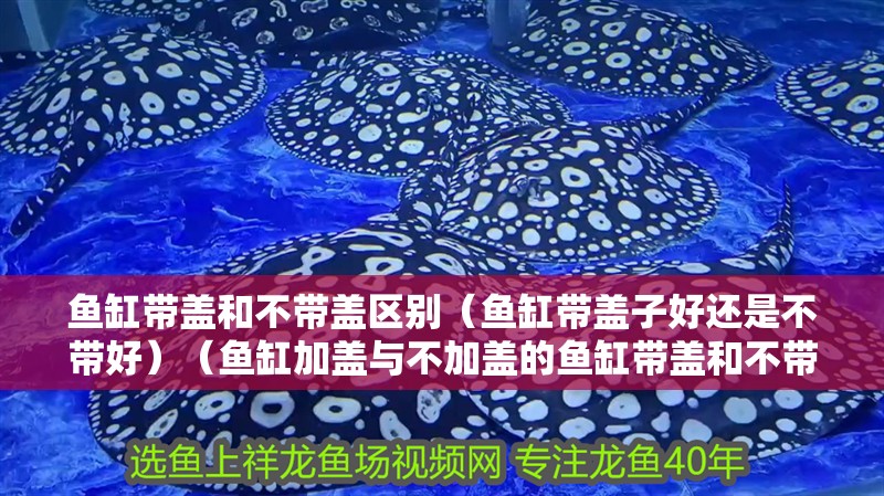 魚缸帶蓋和不帶蓋區別（魚缸帶蓋子好還是不帶好）（魚缸加蓋與不加蓋的魚缸帶蓋和不帶蓋區別是什么區別）