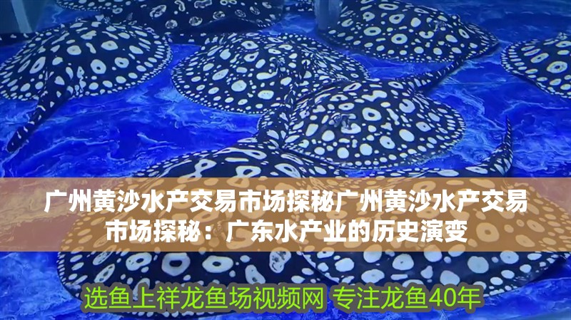 廣州黃沙水產交易市場探秘廣州黃沙水產交易市場探秘：廣東水產業的歷史演變