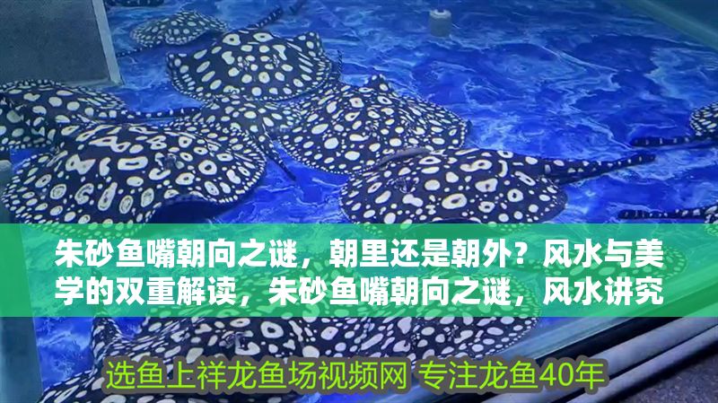 朱砂魚嘴朝向之謎，朝里還是朝外？風水與美學的雙重解讀，朱砂魚嘴朝向之謎，風水講究與美學平衡的深度解析