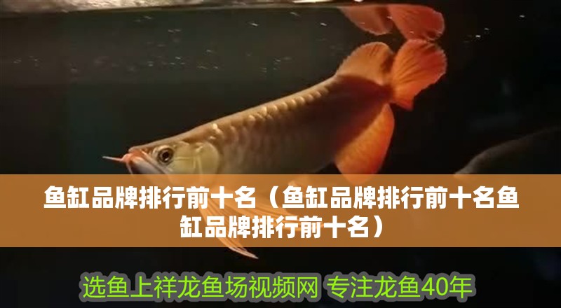 魚缸品牌排行前十名（魚缸品牌排行前十名魚缸品牌排行前十名） 魚缸品牌排行前十名（魚缸品牌排行前十名魚缸品牌排行前十名） 魚缸百科