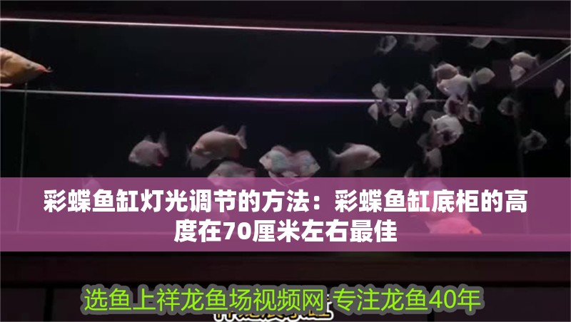 彩蝶魚缸燈光調節的方法：彩蝶魚缸底柜的高度在70厘米左右最佳