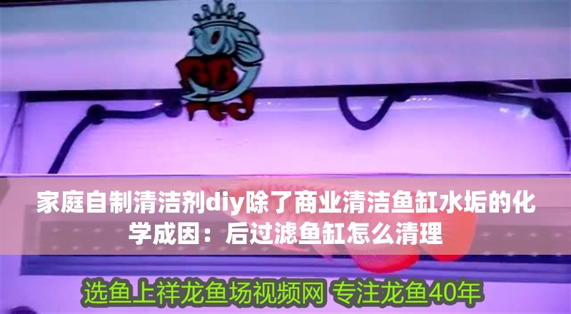 家庭自制清潔劑diy除了商業清潔魚缸水垢的化學成因：后過濾魚缸怎么清理
