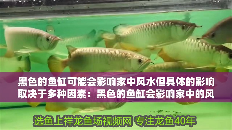 黑色的魚缸可能會影響家中風水但具體的影響取決于多種因素：黑色的魚缸會影響家中的風水嗎？