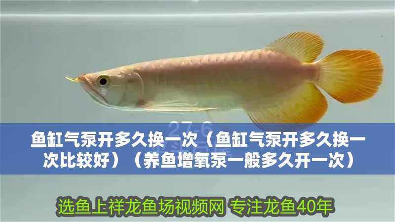 魚缸氣泵開多久換一次（魚缸氣泵開多久換一次比較好）（養魚增氧泵一般多久開一次）