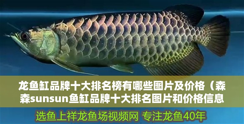 龍魚缸品牌十大排名榜有哪些圖片及價格（森森sunsun魚缸品牌十大排名圖片和價格信息）
