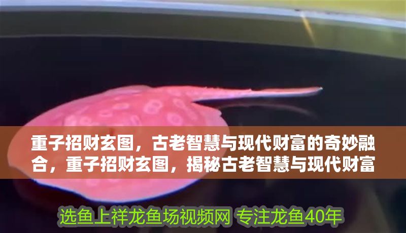 重子招財玄圖,古老智慧與現(xiàn)代財富的奇妙融合,重子招財玄圖,揭秘古老智慧與現(xiàn)代財富的完美融合之道 龍魚百科 第1張 重子招財玄圖,古老智慧與現(xiàn)代財富的奇妙融合,重子招財玄圖,揭秘古老智慧與現(xiàn)代財富的完美融合之道 重子招財玄圖,古老智慧與現(xiàn)代財富的奇妙融合,重子招財玄圖,揭秘古老智慧與現(xiàn)代財富的完美融合之道 龍魚百科 第1張